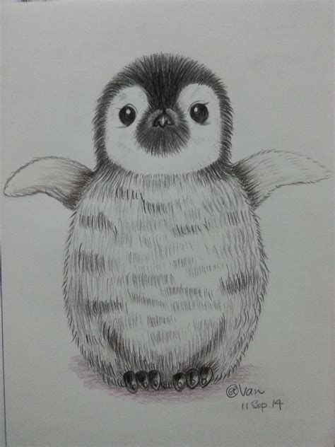 Cartoon Penguin. I saw the most small Penguin in Australia Phillip ...