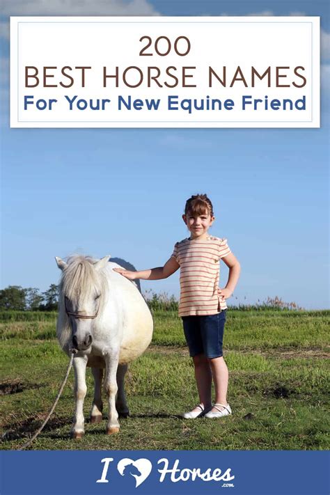 200 Horse Names For Your New Equine Friend