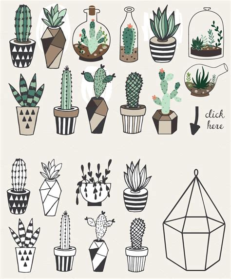 How To Draw Succulents And Cacti – Warehouse of Ideas