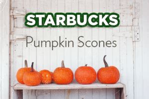 Starbucks Pumpkin Scones - TMJ Hope