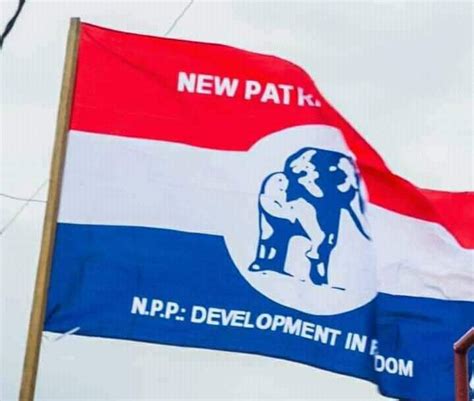 NPP announces parliamentary primaries protocols for incumbent Members ...