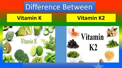 Difference Between Vitamin K and Vitamin K2 - YouTube