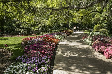 Harry P. Leu Gardens | Attractions in Rose Isle, Orlando