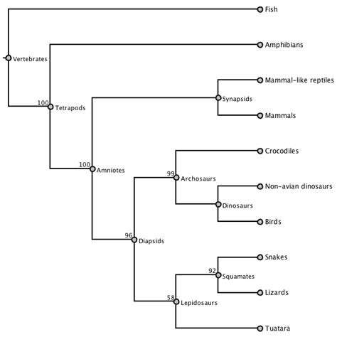 Does it matter whether I assign tree metadata to branches or to nodes ...