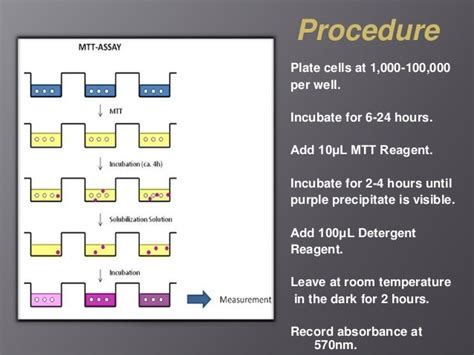 Mtt Assay for cell viability