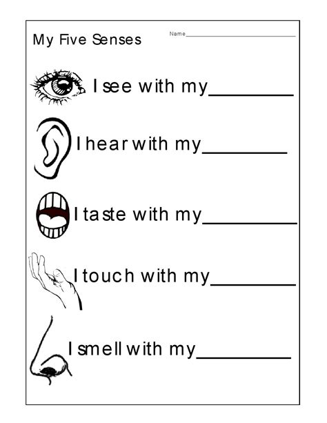 Kindergarten Worksheets: Kindergarten Worksheets - The 5 Senses Worksheets