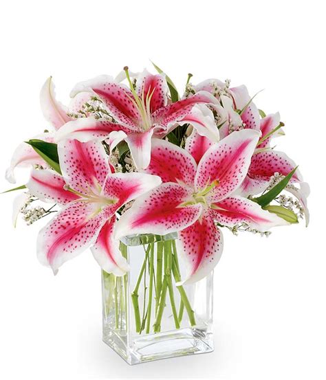 The Shining Stargazer Bouquet at From You Flowers