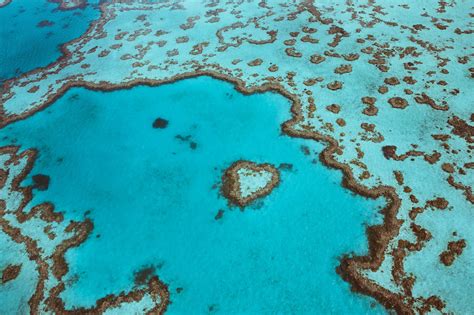 Travelers can now swim above this heart-shaped reef in Australia