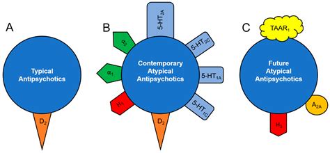 Beschwerde eskalieren Scheinen clozapine mechanism of action allein ...