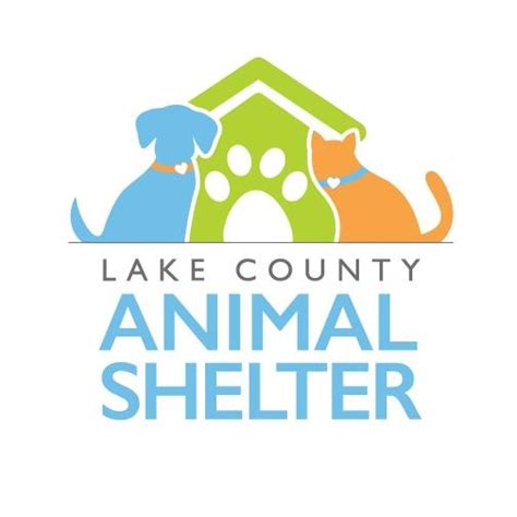 Lake County Florida Animal Shelter | Tavares FL