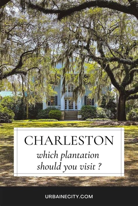 Charleston: 5 plantations to see & how to organize your visit - Urbaine ...