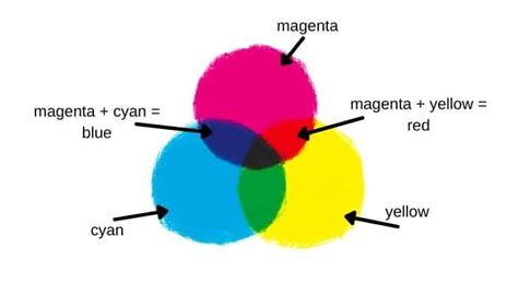 What are Primary Colors? How to Use them in Your Painting