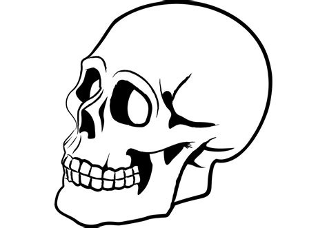 Free Skull Vector