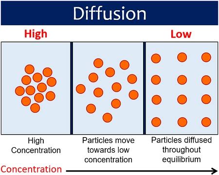 Examples of Diffusion in Daily Life (Diffusion experiment) - Biology Reader