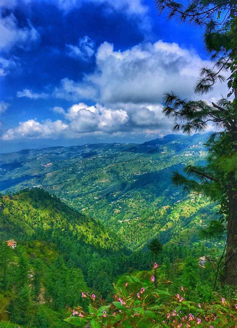 8 Attractions of Shimla – The queen of hills – Sneha John P – Medium