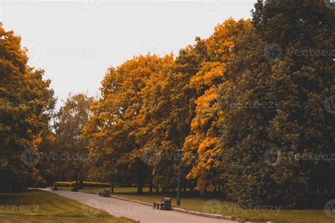 Trees in Autumn city park 11412376 Stock Photo at Vecteezy