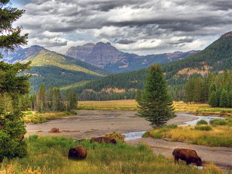 Yellowstone National Park, Wyoming, United States