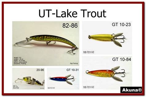 31+ Best Trout Lures For Lakes most complete - Arpis