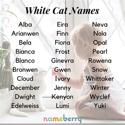 White Cat Names From Movies