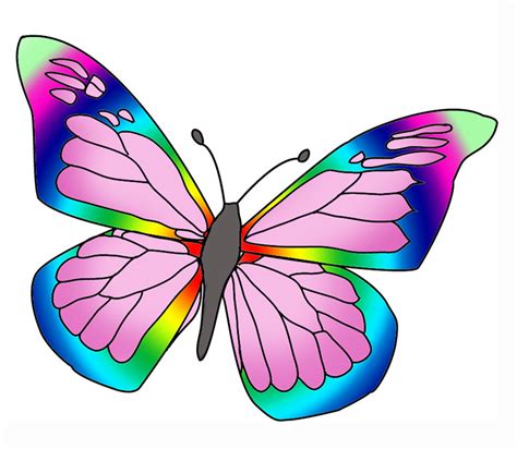 butterfly drawing colour full - Clip Art Library