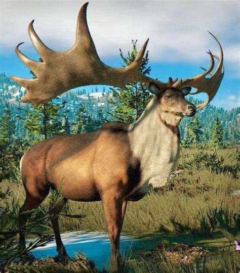 The extinct Irish elk (Megaloceros giganteus) ranged across Eurasia ...