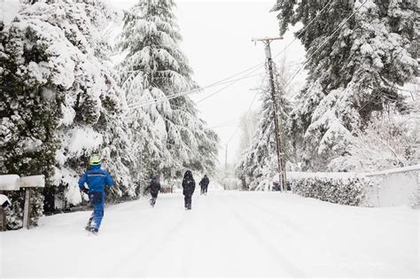 The Great Portland February 2017 Snow Storm