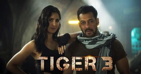 Shahrukh Khan Cameo In Salman Khan Tiger 3 Movie | IB