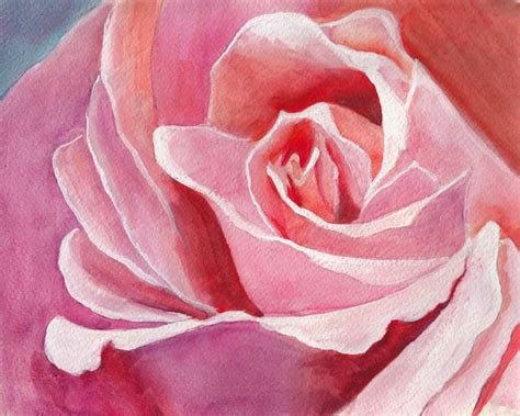 PINK ROSE WATERCOLOR PAINTING