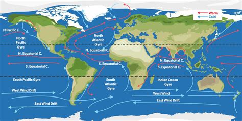 Pacific Ocean Currents