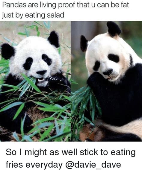 30 of The Funniest And Cutest Panda-Memes on The Web - I Can Has ...