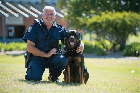 Are Rottweilers Used As Police Dogs