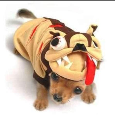 Zombie Dog Costume - Etsy