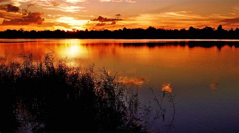 sunset, Lake, Grass, Night, Silhouette, Beach, Clouds, Reflection ...