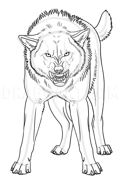 How To Draw An Angry Wolf, Step by Step, Drawing Guide, by makangeni ...