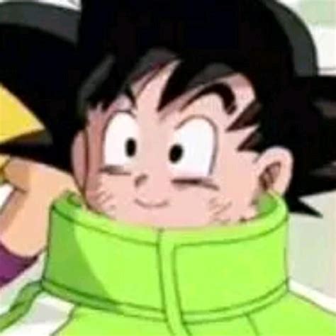 Kid Goku Vegeta Cult PFP | Vegeta Cult | Kid goku, Goku and vegeta, Vegeta