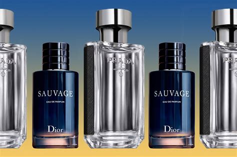 10 Classic Colognes That Will Never Let You Down | Best perfume for men ...