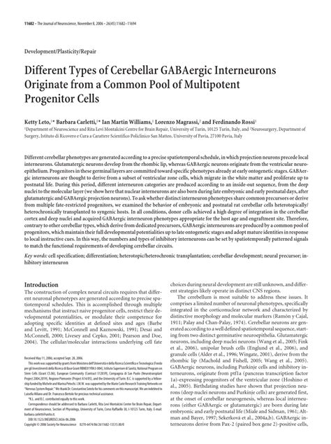 (PDF) Different Types of Cerebellar GABAergic Interneurons Originate ...