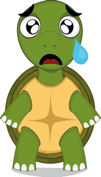 100+ Cartoon Of The Sad Turtle Stock Illustrations, Royalty-Free Vector ...