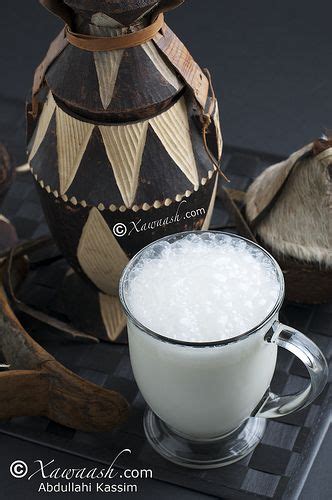 Somali Champagne (Simulated Camel Milk) by aikassim, via Flickr | Camel ...