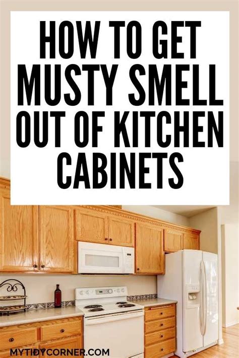 Musty Smell in Kitchen Cabinets (Cupboards): Causes & Solutions