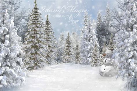 Snowman Digital Background With Snow Overlay - Etsy Canada | Snow ...