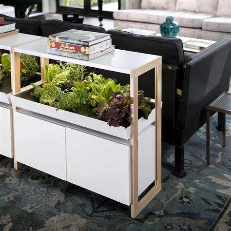 7 Best Indoor Gardening Kits and Systems for 2022 | Family Handyman