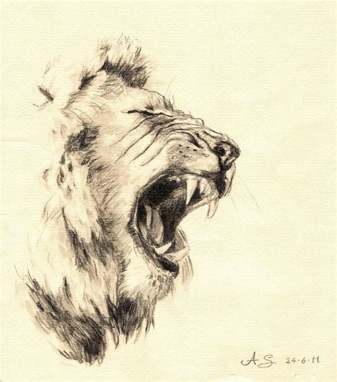 Lion Roaring Drawing at GetDrawings | Free download