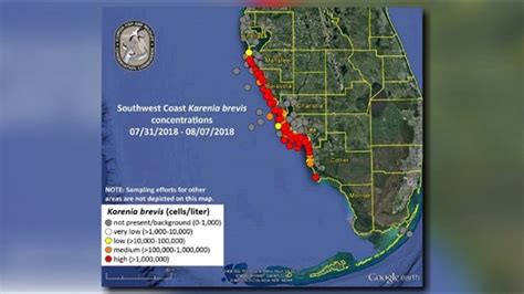 New map shows red tide problems worsening along Florida's coast | wtsp.com