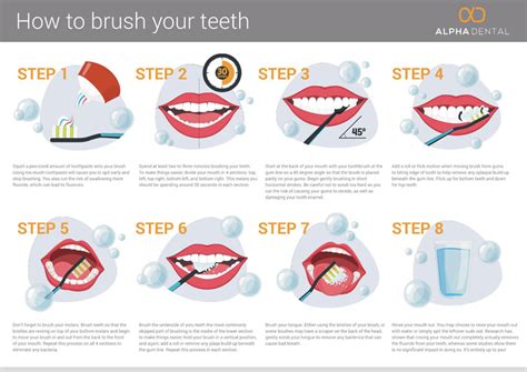 How to Brush Your Teeth the Right Way - InfographicBee.com in 2021 ...