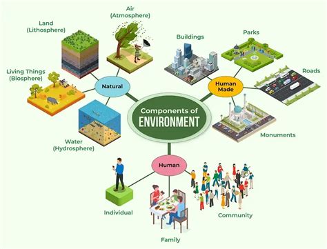 Components of Environment - GeeksforGeeks