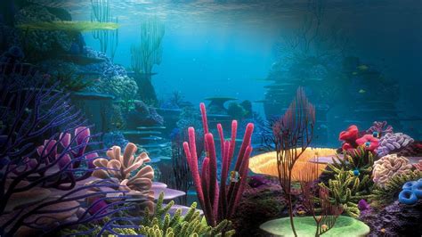 Beautiful Coral Reefs Wallpaper