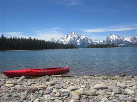 Kayaking Into Nature On Jackson Lake - Wasatch Magazine