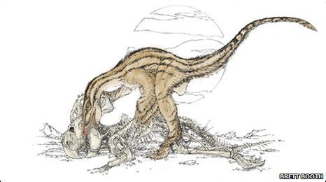 Fossil Find Shows Evidence of a Velociraptor Feeding upon Another Dinosaur