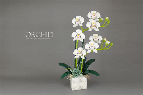 LEGO Ideas could add to Botanical Collection with an orchid